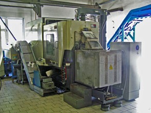 Vyr21a.JPG
